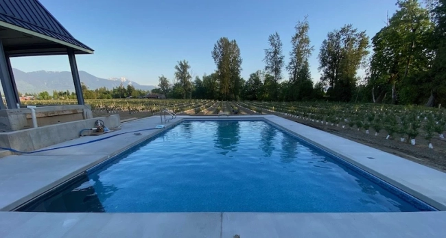Our pool builds